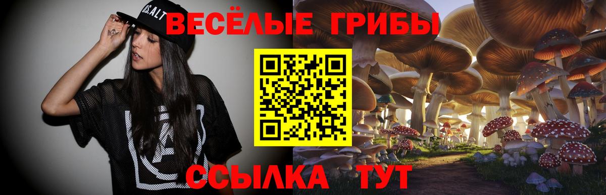 Павлово  Псилоцибиновые грибы мицелий  Галлюциногенные грибы Magic Shrooms  Вход с VPN 